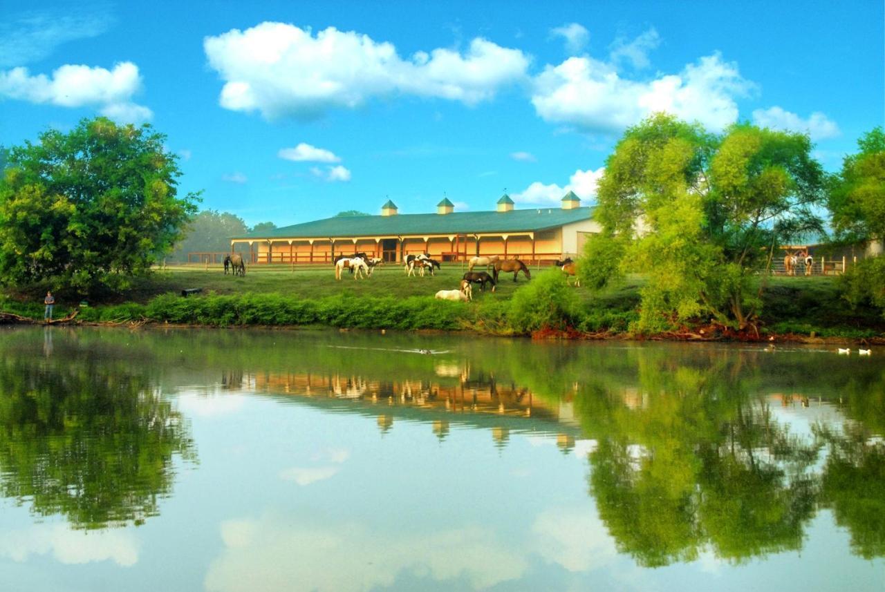 מדיסון Southern Cross Guest Ranch מראה חיצוני תמונה