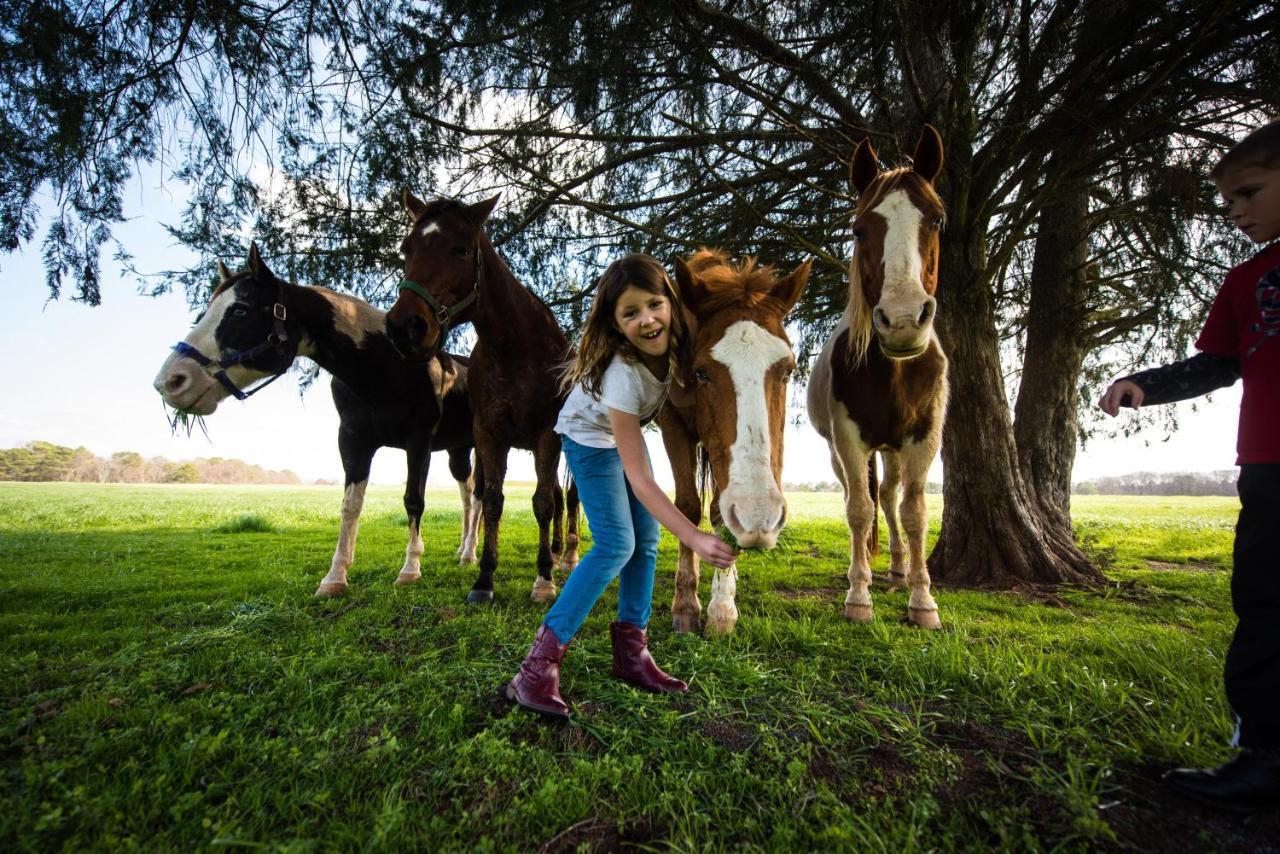 מדיסון Southern Cross Guest Ranch מראה חיצוני תמונה